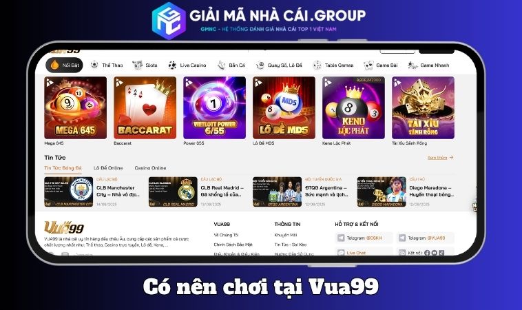 Có nên tham gia chơi cá cược tại Vua99 không?