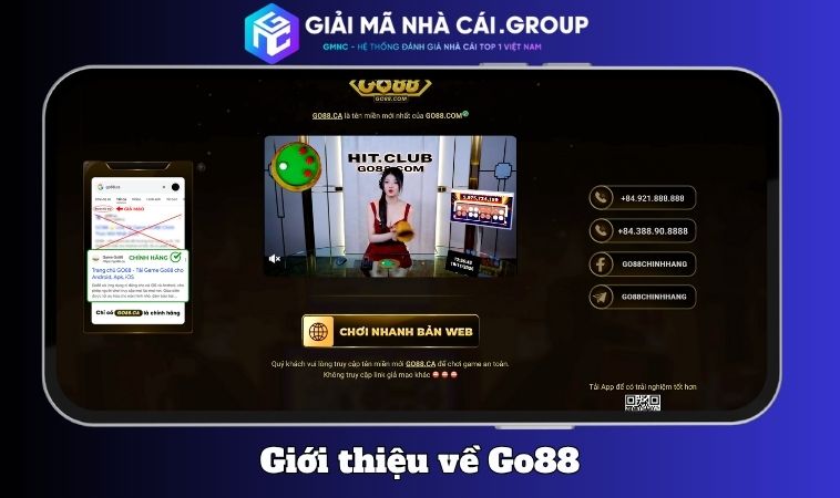 Giấy phép hoạt động và yếu tố pháp lý