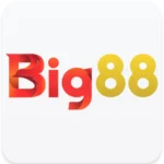 BIG88